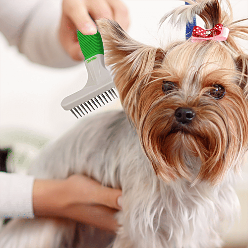 Wahl Undercoat Rake, 1 pc  