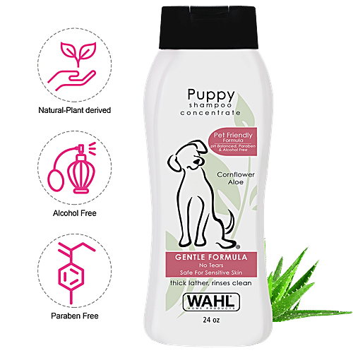 Buy Wahl Puppy Shampoo Online at Best Price of Rs 850 bigbasket