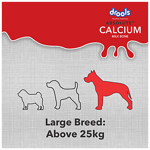 supplements for large breed dogs