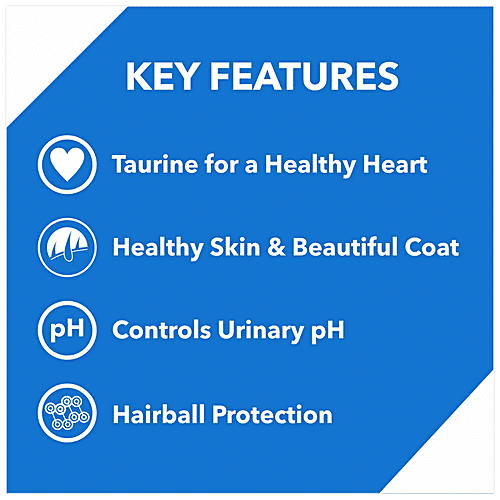 Drools Dry Cat Food - Ocean Fish, For Adults, 4.2 kg Bag Healthy Skin & Beautiful Coat, Hair Ball Protection