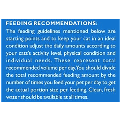 Drools Dry Cat Food - Ocean Fish, For Adults, 4.2 kg Bag Healthy Skin & Beautiful Coat, Hair Ball Protection