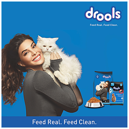 Drools Dry Cat Food - Ocean Fish, For Adults, 4.2 kg Bag Healthy Skin & Beautiful Coat, Hair Ball Protection