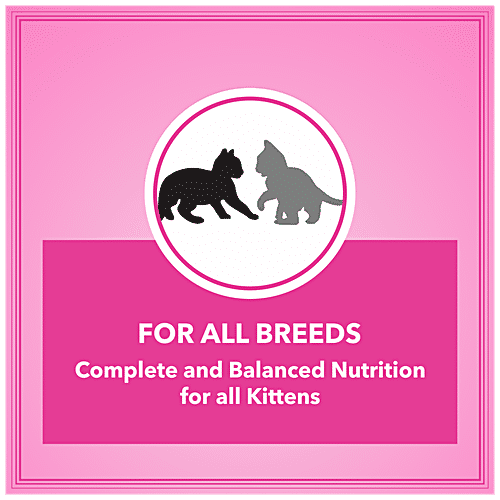 Lets Bite Active Kitten Cat Food, 400 g (Buy 1 & Get 400 g Free) 