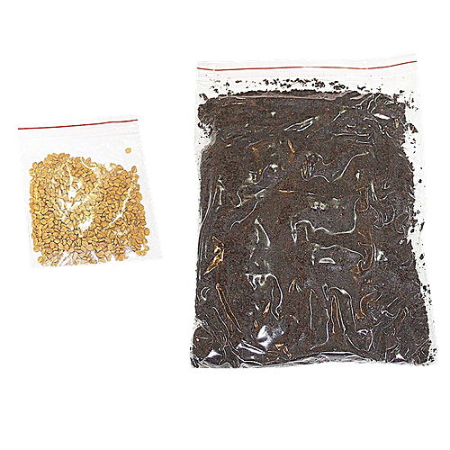 UGF Farms Microgreens Starter Kit - Soil-Less Organic Plant Seeds, Fenugreek, 200 g All Natural, Zero Carbon Food, Non Gmo