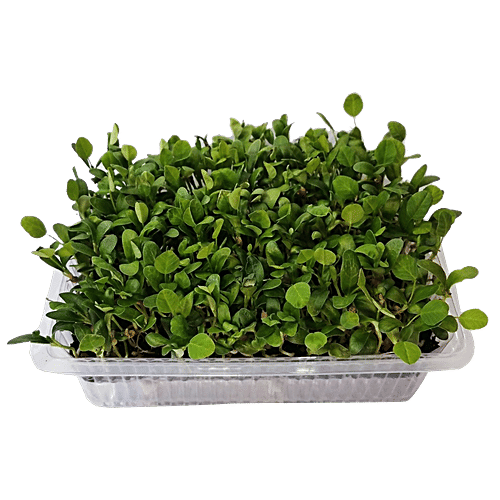 UGF Farms Microgreens Starter Kit - Soil-Less Organic Plant Seeds, Fenugreek, 200 g All Natural, Zero Carbon Food, Non Gmo