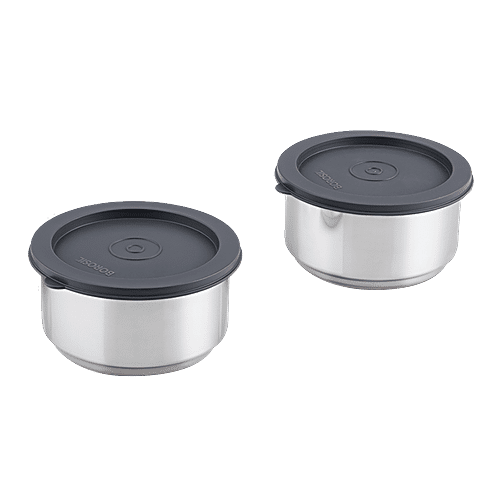 Borosil Carry Fresh Stainless Steel Lunch Box/Tiffin Box Set Insulated - Grey, 280 ml (Set of 2)