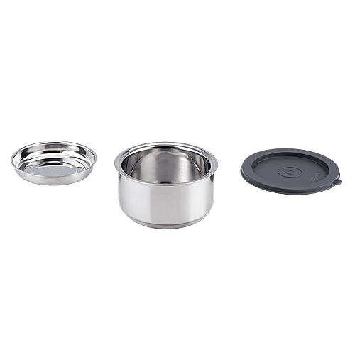 Borosil Carry Fresh Stainless Steel Lunch Box/Tiffin Box Set Insulated - Grey, 280 ml (Set of 2)