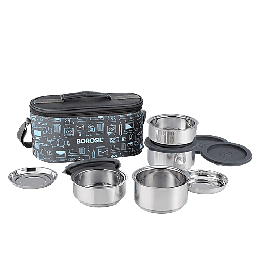 Buy Borosil Carry Fresh Stainless Steel Lunch Box/Tiffin Box Insulated