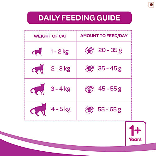 Buy Whiskas Dry Cat Food Adult, 1+ Year, Mackerel Flavour Online at