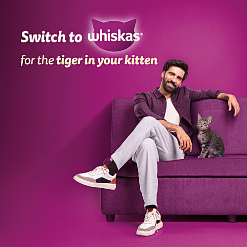 Whiskas Mother Cat & Kitten Dry Food - Ocean Fish Flavour, 2 - 12 Months, 3 kg  Complete & Balanced Nutrition, Goodness Of Mother'S Milk, Healthy Brain Development