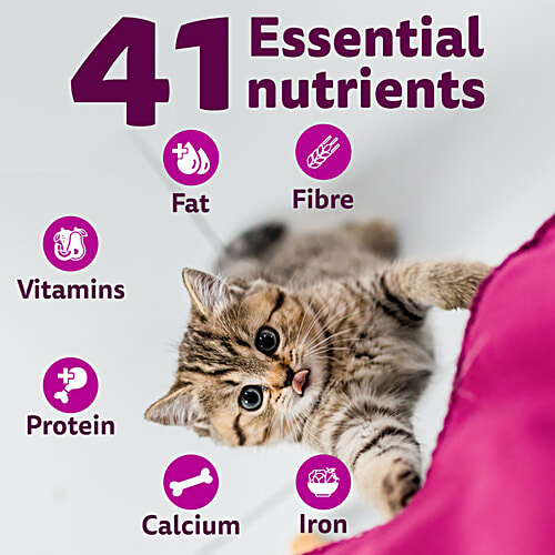 Whiskas Mother Cat & Kitten Dry Food - Ocean Fish Flavour, 2 - 12 Months, 3 kg  Complete & Balanced Nutrition, Goodness Of Mother'S Milk, Healthy Brain Development