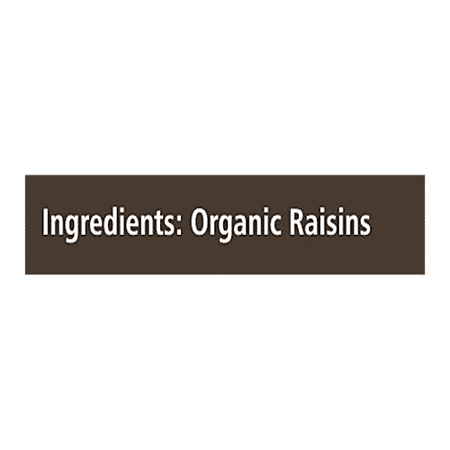 Organic Tattva Organic Raisins, 100 g  Zero Cholesterol & Zero Trans Fat