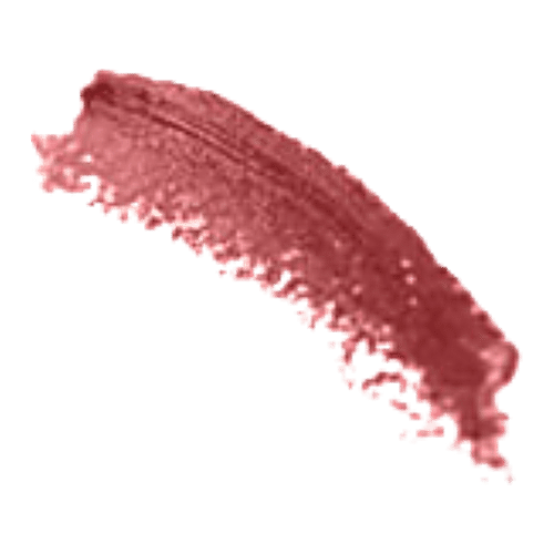 Chambor Powder Matte Lipstick, 4.5 g Saddle Brown, #169