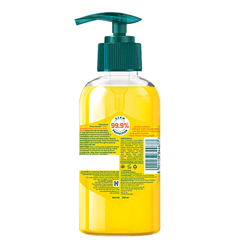 Himalaya Pure Hands Deep Cleansing Hand Wash - Tulsi & Lemon, 99.9% Germ Protection, pH Balanced, 250 ml Pump 