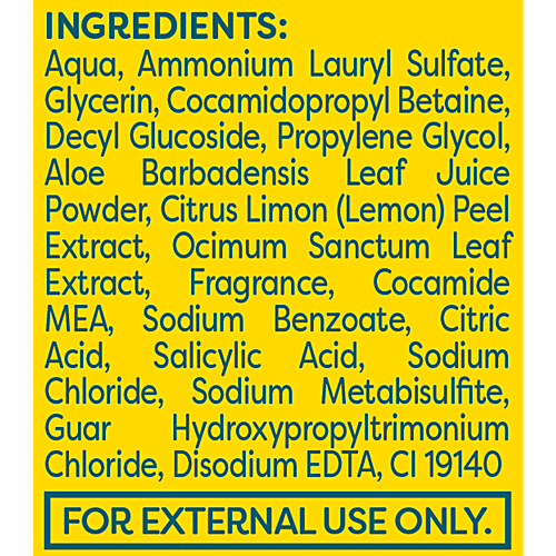 Himalaya Pure Hands Deep Cleansing Hand Wash - Tulsi & Lemon, 99.9% Germ Protection, pH Balanced, 250 ml Pump 