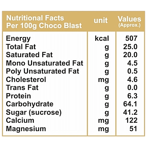 Pure Temptation Choco Blast Waffle Cone Chocolate, 540 g (36 pcs x 15 g each) Zero Trans Fat