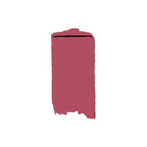 Lakme 9 To 5 Naturale Matte Lipstick - Salmon Pink, 3.6 g  