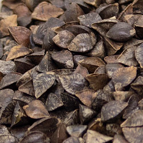 bb Royal Organic Buckwheat Whole, 500 g  