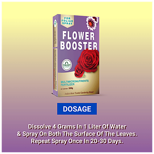 Buy Trust Basket Flower Booster Online at Best Price of Rs 299 bigbasket