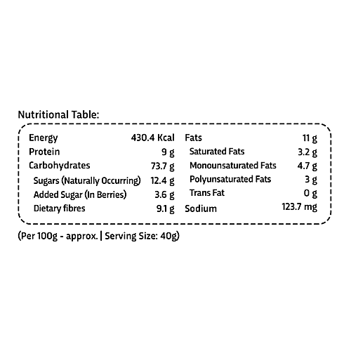 True Elements Multigrain Oatmeal - High Protein & Fibre, Breakfast Cereal, 400 g  Sugar Free, High Protein