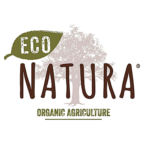 Borges Eco Natura Extra Virgin Olive Oil, 500 ml Bottle Organic, Zero Trans Fat, Zero Cholesterol