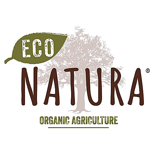 BORGES Eco-Natura - Organic Apple Cider Vinegar With The Mother, 250 ml Bottle 