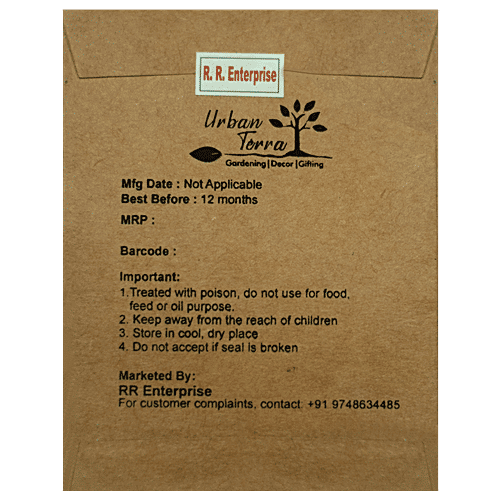 Urban Terra Lady Finger/Okra Seeds, 50 pcs  Non Hybrid, High Quality