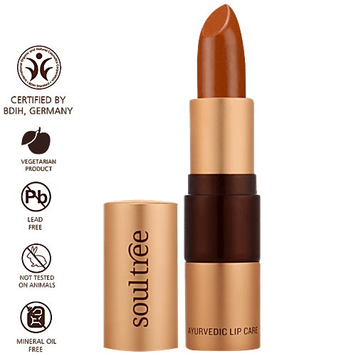 Soultree Ayurvedic Lipstick - Rusty Cinnamon 840, 4 g  Lead Free, Mineral Oil Free