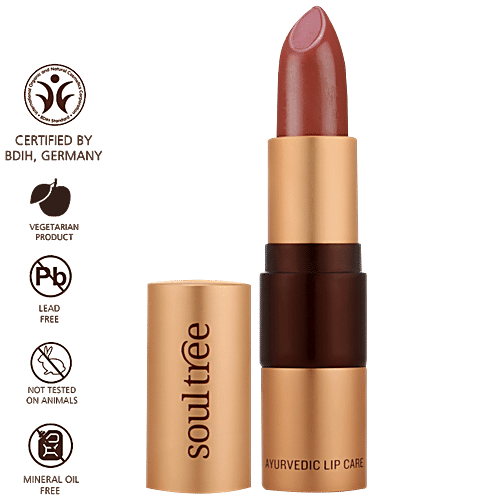 Soultree Ayurvedic Lipstick - Massive Mauve 605, 4 g  Lead Free, Mineral Oil Free