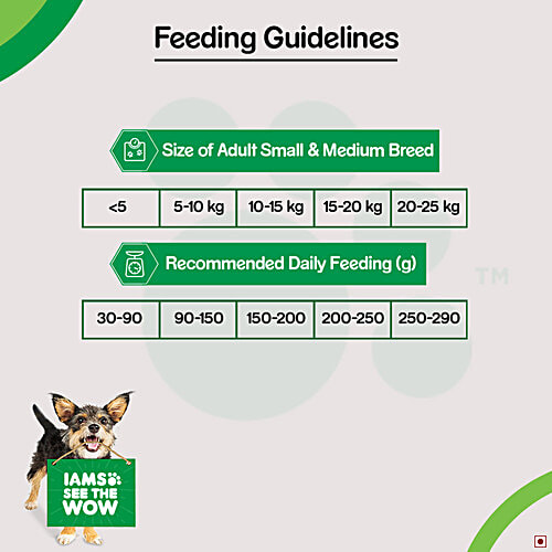 IAMS Minichunks High Protein Chicken Whole Grains Flavor