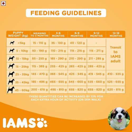Buy IAMS Proactive Health Dry Dog Food Smart Puppy Large Breed, Up To