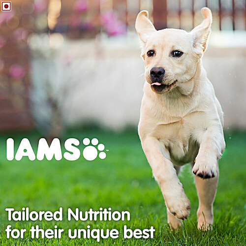 IAMS Proactive Health Dry Dog Food - Smart Puppy Large Breed, Up To 2 Years, 3 kg  Supports Strong Bones & Joints