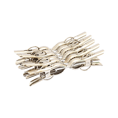 Aarna Metal Cloth Clips, 12 pcs  Strong, Unbreakable, Long Lasting