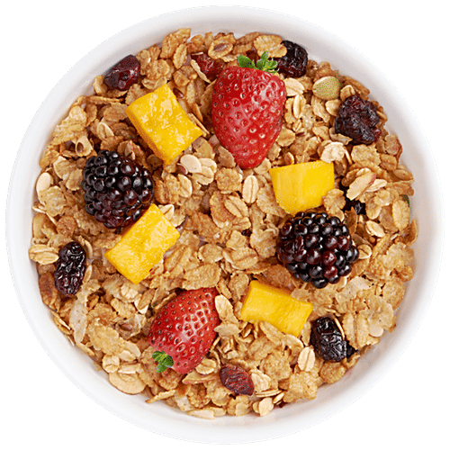 Buy True Elements Millet Granola High In Protein & Fibre Online at