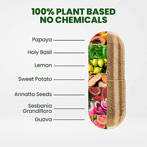 Vlado's Himalayan Organics Plant Based Multivitamin Capsules - Strong Immunity, 60 pcs  