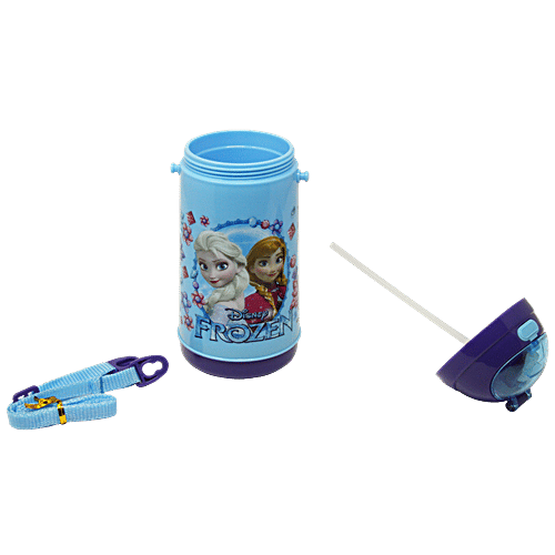 Buy Hm International Disney Frozen Sisters Insulated Plastic Sipper