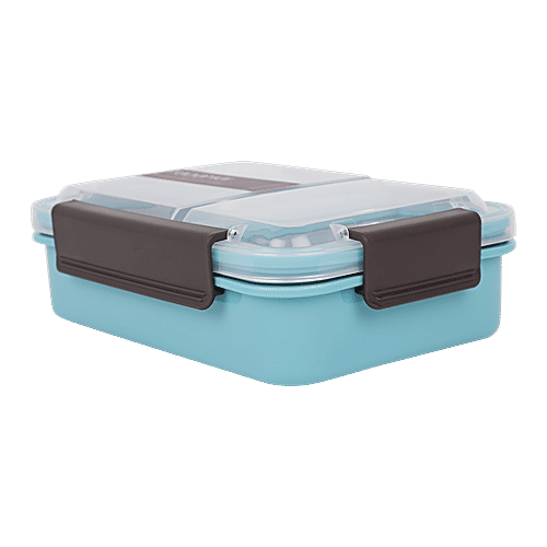 Tedemi Plastic & Stainless Steel Lunch Box - Blue, BB1377BLU, 750 ml  