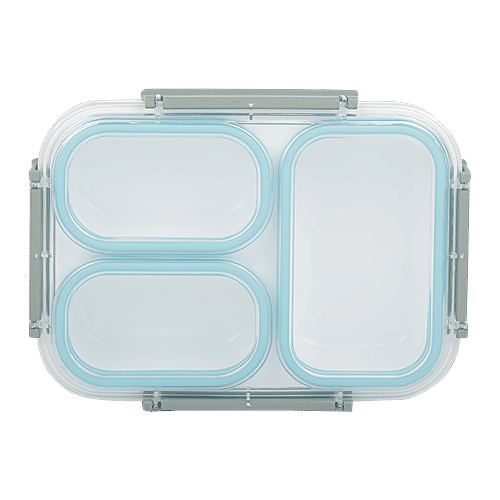 Tedemi Plastic & Stainless Steel Lunch Box - Blue, BB1377BLU, 750 ml  