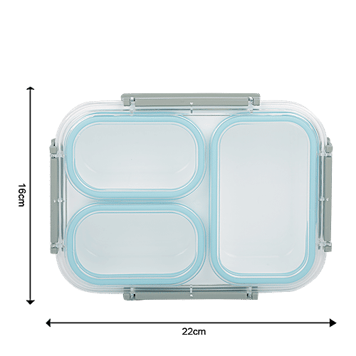 Tedemi Plastic & Stainless Steel Lunch Box - Blue, BB1377BLU, 750 ml  