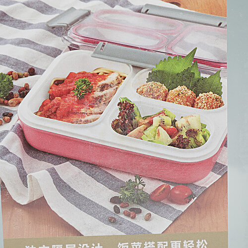 Tedemi Plastic & Stainless Steel Lunch Box - Blue, BB1377BLU, 750 ml  