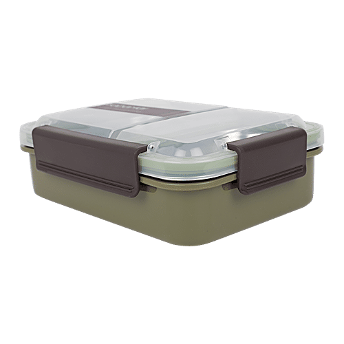 Tedemi Plastic & Stainless Steel Lunch Box - Green, BB1377GRN, 750 ml  