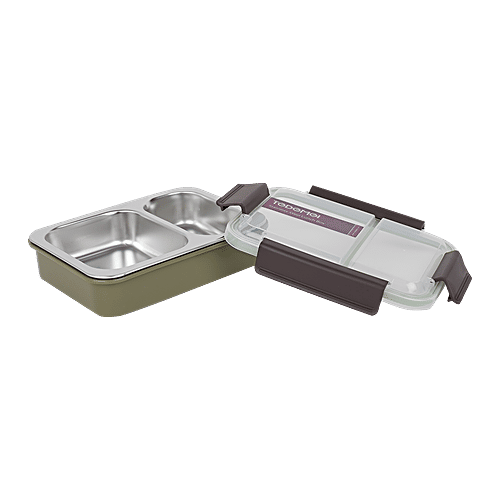 Tedemi Plastic & Stainless Steel Lunch Box - Green, BB1377GRN, 750 ml  