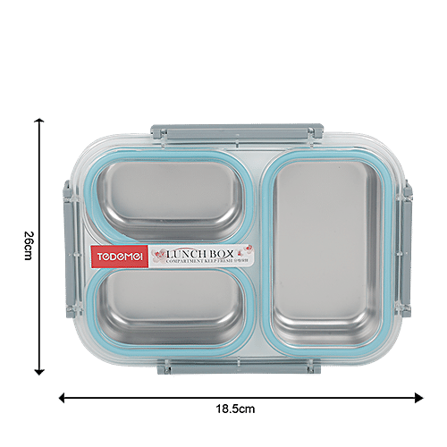 Tedemi Plastic & Stainless Steel Lunch Box - Blue, BB1378BLU, 1.2 L  