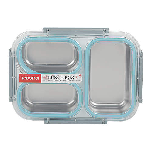 Tedemi Plastic & Stainless Steel Lunch Box - Blue, BB1378BLU, 1.2 L  