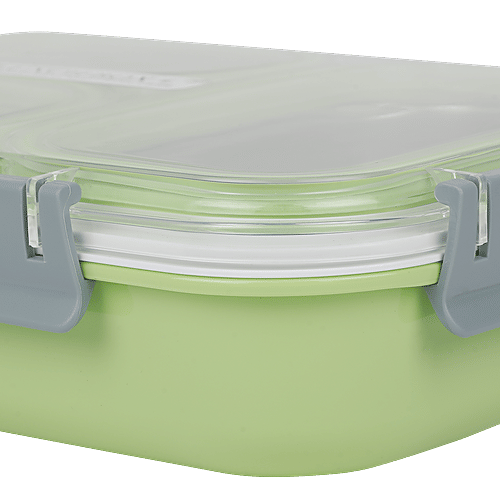 Tedemi Plastic & Stainless Steel Lunch Box - Green, BB1378GRN, 1.2 L  