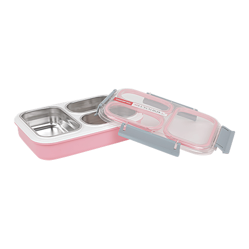 Tedemi Plastic & Stainless Steel Lunch Box - Pink, BB1378PNK, 1.2 L  