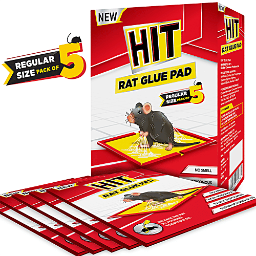HIT Rat/Mouse Glue Pad - No Smell, Non-Poisonous, 5 pcs No Smell, Non Poisonous