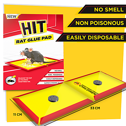Buy HIT Rat/Mouse Glue Pad No Smell, NonPoisonous Online at Best