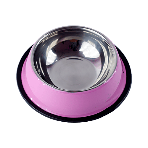 DP Pet SS Food Bowl - Round, Medium, Assorted Colour, BB1521, 1 pc  