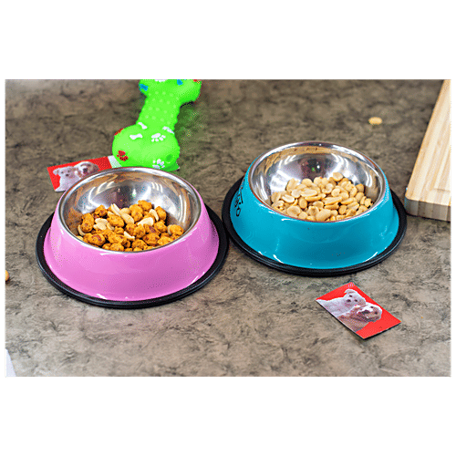 DP Pet SS Food Bowl - Round, Medium, Assorted Colour, BB1521, 1 pc  